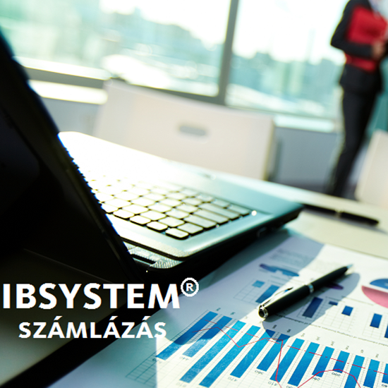 Kép: IBSystem pénzügy -  számla rögzítés